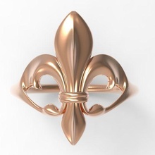 fleur-de-lis jewelry fleur flower ring 3d print model - Mito3D