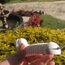 flettere bassotto gadget flessibile salsiccia cane giocattolo posto Stampa gioco pezzo animali primavera bambini decorazione articolato 3d print model - Mito3D
