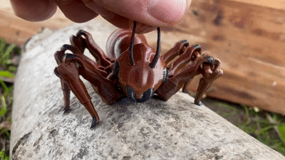 flexi fourmi fantaisie impression endroit insecte papillon printinplace animal abeille frelon l'homme jouet souple vengeurs araignée lézard serpent mcu 3d print model - Mito3D