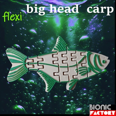 flexi cabeza grande carpa arte plata asiático tolstolobik tolstolobico pez flexible animal juguete fexi navidad articular regalo apoya 3d print model - Mito3D