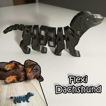 flexi dachshund game dog flex flexible tacsko kutya 3d print model - Mito3D