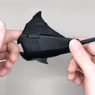 flexi manta raio impressão colocar articulado picada animal 3d print model - Mito3D