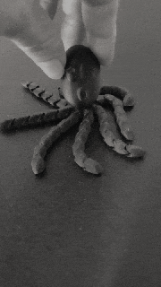 esnek ahtapot hayvan mafsallı dokunaç oyuncak 3d print model - Mito3D