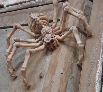 flexi print in place esqueleto araña helloween flexible articulado juguete fábrica fantasía tarántula posable apoya mítico criatura terror impresión sitio 3d print model - Mito3D