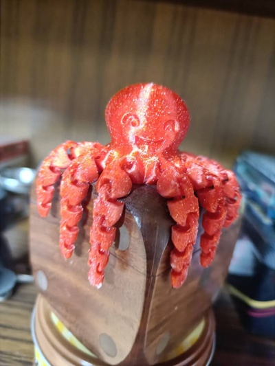 flexi smile octopus 3d print model - Mito3D