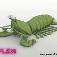flexi stomatopoda langosta mante articulé jouet 3d print model - Mito3D