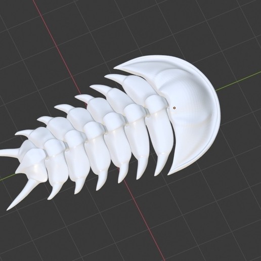 flexi trilobite game animals toy sea flexible cambrian animal 3D print model - Mito3D