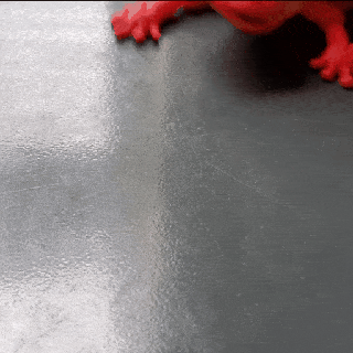 flessibile carina geco rettile Stampa posto animale arte giocattolo 3d print model - Mito3D