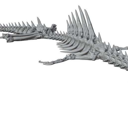flexible print place supports needed dragon skeleton articulated 3D print model - Mito3D