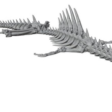 flexible print place supports needed dragon skeleton articulated 3d print model - Mito3D