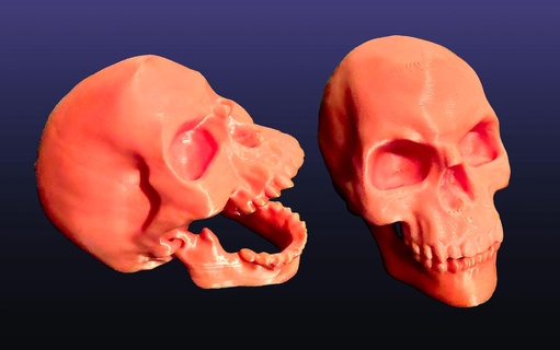 flexible skull keychain 3d print model - Mito3D