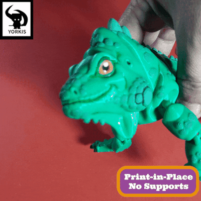 flessibile tropicale iguana giocattolo carina kawaii supporto animale rettile 3d print model - Mito3D