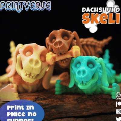 flexy skelett dachsund drucken ort no unterstützt dackel hund haustier halloween gruslig artikuliert zuhause haus flexi spielzeuge zappeln 3d print model - Mito3D