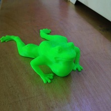 flippy rana juego 3d animal bakutis escultura los animales 3d print model - Mito3D