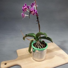 flor da lata - tin flower 3d print model - Mito3D