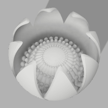 Blume 3d print model - Mito3D
