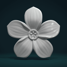 fiore art natura forget-me-not erba la pianta petali 3d print model - Mito3D