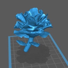 flower - fiore 3d print model - Mito3D