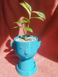 flor duende plantador casa plantar Panela produtor vaso flores jardineiro interior Potholder suculento jardim cacto 3d print model - Mito3D