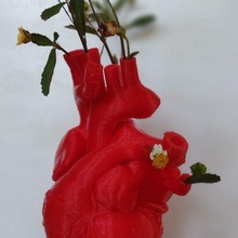fiore cuore 3d print model - Mito3D