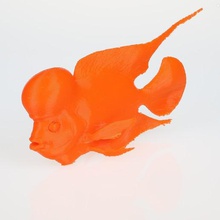 flower horn fish various 3d print model - Mito3D
