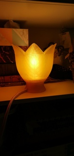fleur lampe 6 nervuré pétales Accueil maison 3d print model - Mito3D