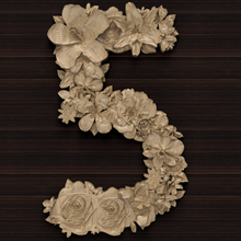 flower number 5 relief carved baroque decor molding ornament pattern drawing cnc art signs logos numbers font symbol leaf five architectural decoration 3d print model - Mito3D