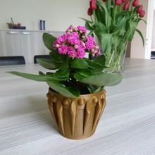 flower pot home garden plants 3d print model - Mito3D