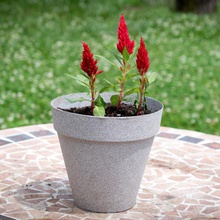 vaso de flores a casa pote barro o flor planta plantador 3d print model - Mito3D