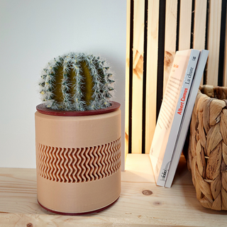 flower pot - ana Home décoration intérieure plantes fleurs cactus succulents aménagement intérieur jardin 3d print model - Mito3D