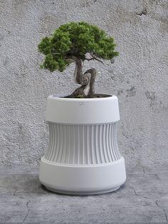 flower pot - gift mom art home decor decoration vase garden planter mother day 3d print model - Mito3D