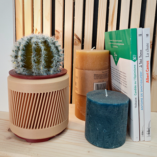 flower pot - june Home décoration intérieure plantes fleurs cactus succulents aménagement intérieur jardinin 3d print model - Mito3D
