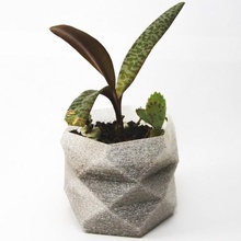 flower pot 03 - architecture plantera flowerpot low poly plant planter garden succulent 3d print model - Mito3D