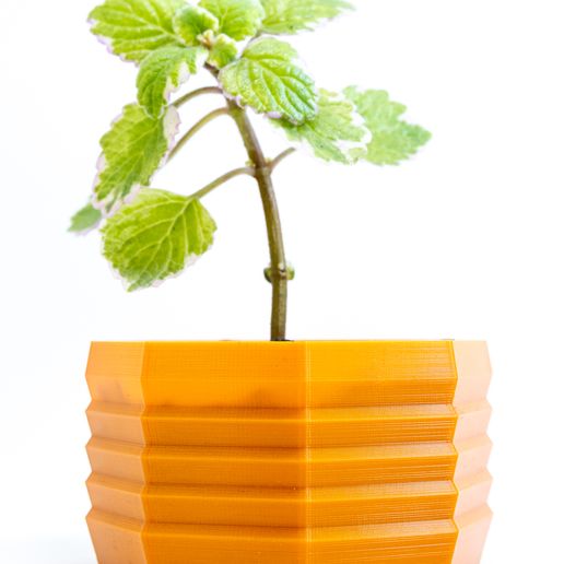 flower pot 14 - plantera low poly plant planter garden succulent flowerpot nature 3D print model - Mito3D