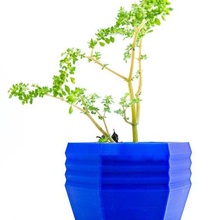flower pot 15 - plantera low poly plant planter garden succulent flowerpot nature 3d print model - Mito3D