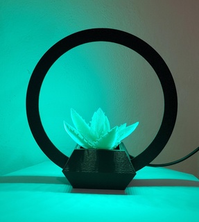 fleur pot décoratif LED éclairage lampe lumière nuit bureau 3d print model - Mito3D