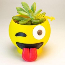 fiore pentola emoji lingua cactus piante grasse 3d print model - Mito3D