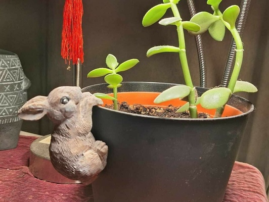 flower pot hangers bunny 3d print model - Mito3D