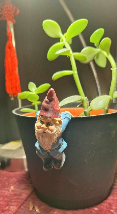 flower pot hangers gnome 3d print model - Mito3D