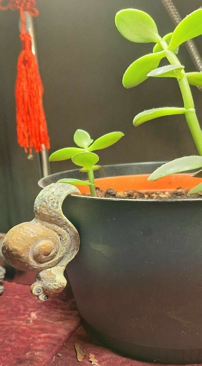 flower pot hangers snail 3d print model - Mito3D