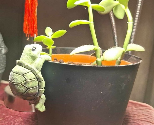 flower pot hangers turtle 3d print model - Mito3D