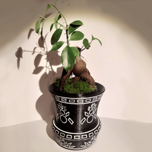 flower pot hidden compartment stash household 3d print model - Mito3D