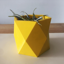 flower pot poly low flowerpot bogs 3d print model - Mito3D