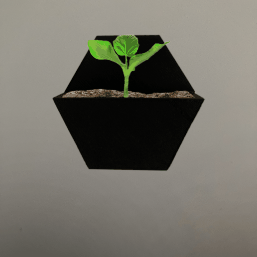 flower pot wall art test garden useful nice 3D print model - Mito3D