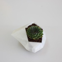 vaso di fiori casa 3d print model - Mito3D
