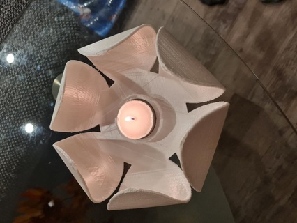fleur thé lumière bougie chauffe plat étoile plante Rose Feu 3d print model - Mito3D