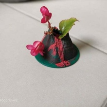 flower volcano 3d print model - Mito3D
