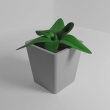 maceta bonita planta escritorio casa habitación vegetal 3d print model - Mito3D