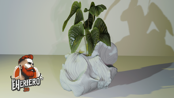 pot fleur conque Accueil maison escargot décoration titulaire soutien fleurs 3d print model - Mito3D