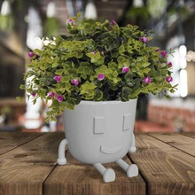 flowerpot feet face with and maceta con pies y cara 3d print model - Mito3D